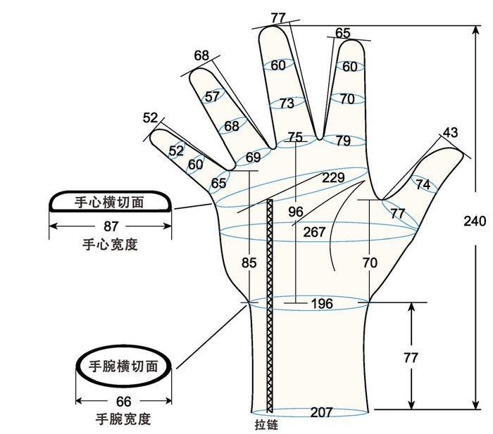 103 male adult L2 right hand measure sc regal prosthesis