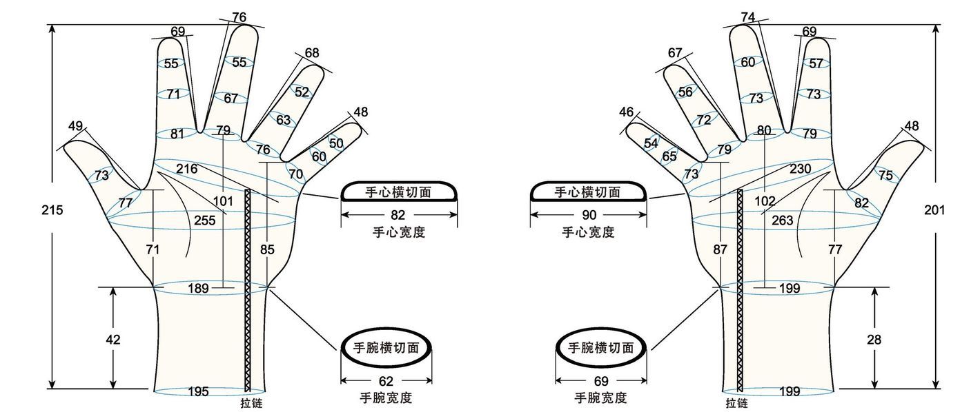 103 male adult LM measure sc regal prosthesis