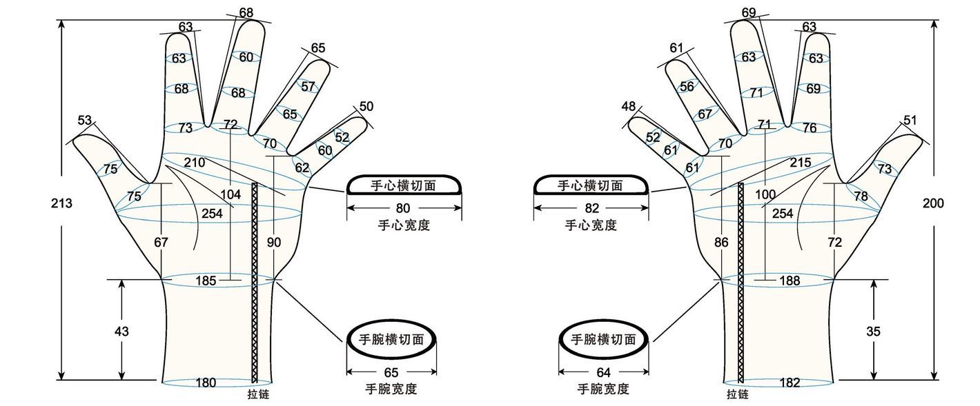 103 male adult M measure sc regal prsothesis