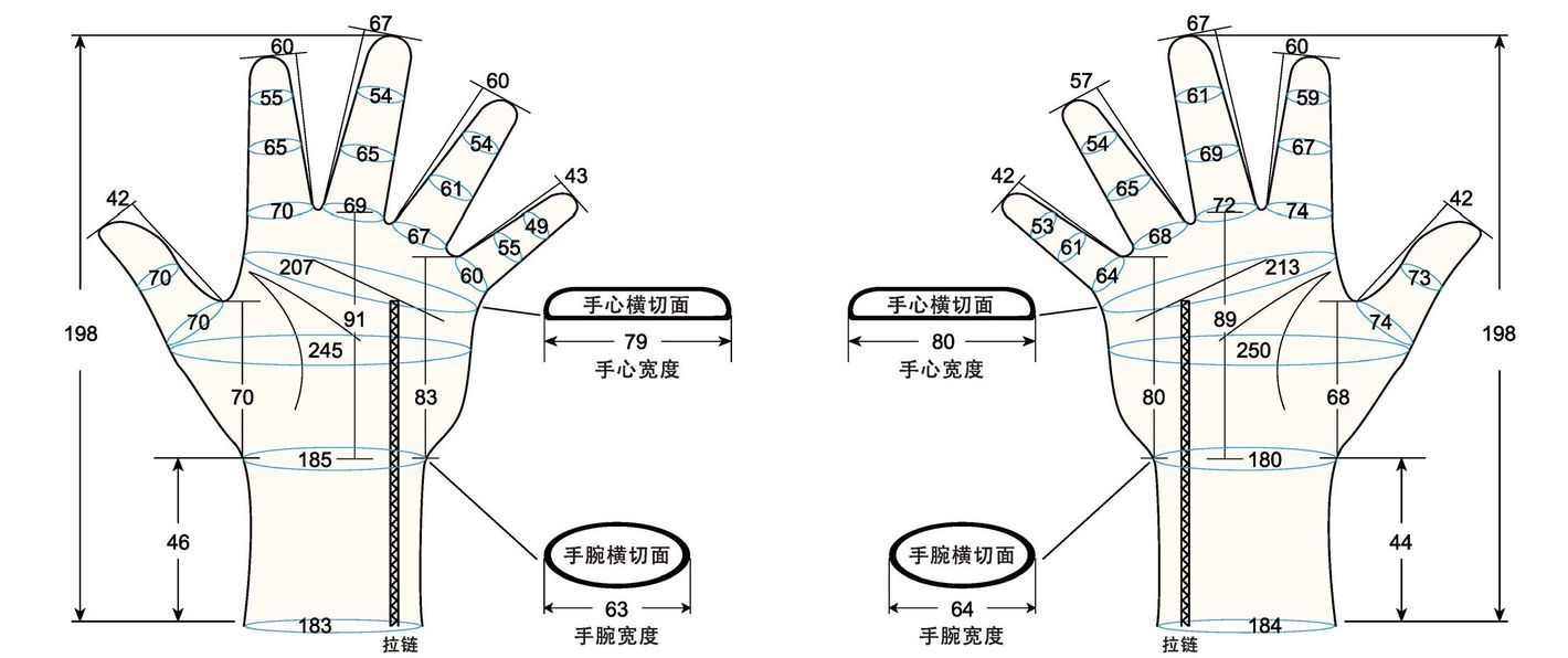 103 male adult M1 measure sc regal prosthesis