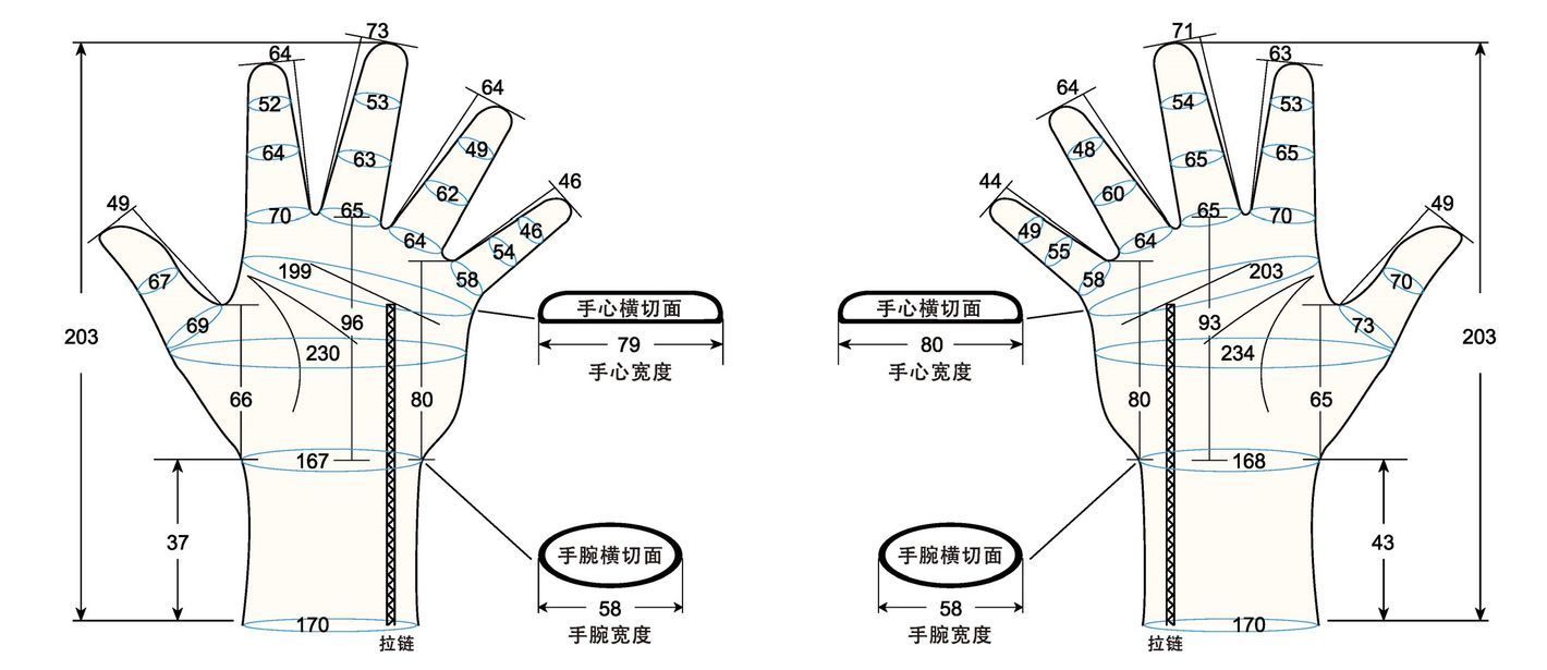 103 male adult M2 measure sc regal prosthesis