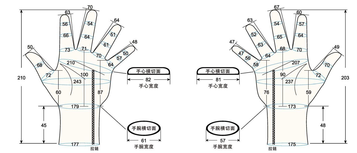 103 male adult M4 measure sc regal prosthesis