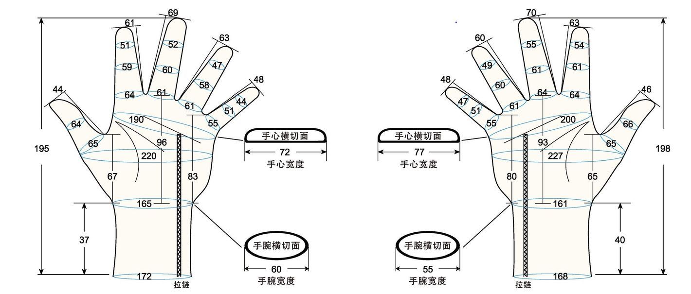 103 male adult MS1 measure sc regal prosthesis