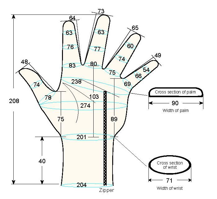 103 male adult XL left hand measure regal prosthesis