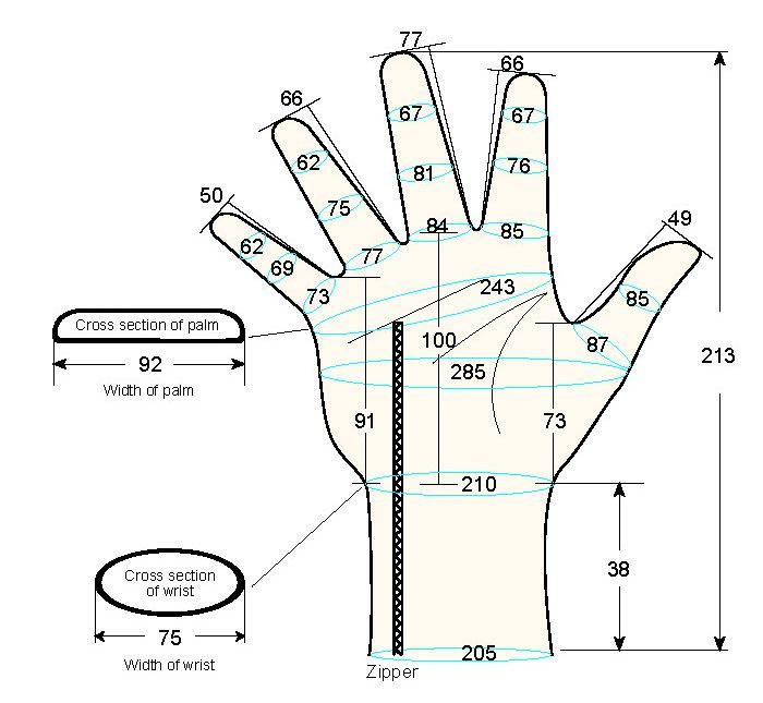 103 male adult XL right hand measure regal prosthesis