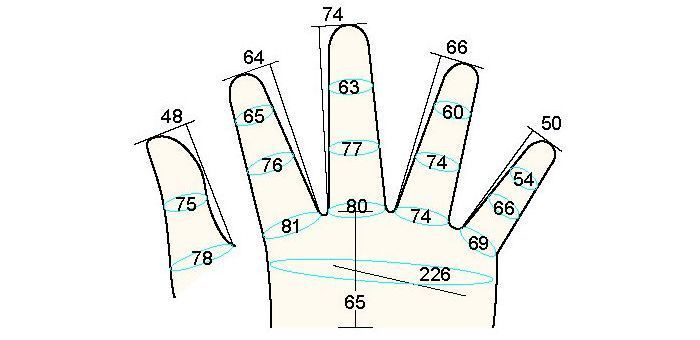 200 male adult XL measure left hand regal prosthesis