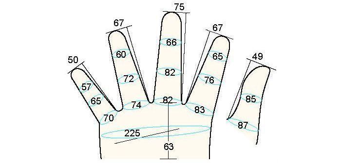 200 male adult XL measure right hand regal prosthesis