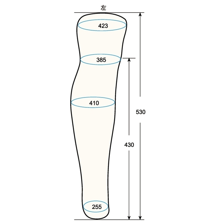 BKSL L measurement left leg sc regal prosthesis