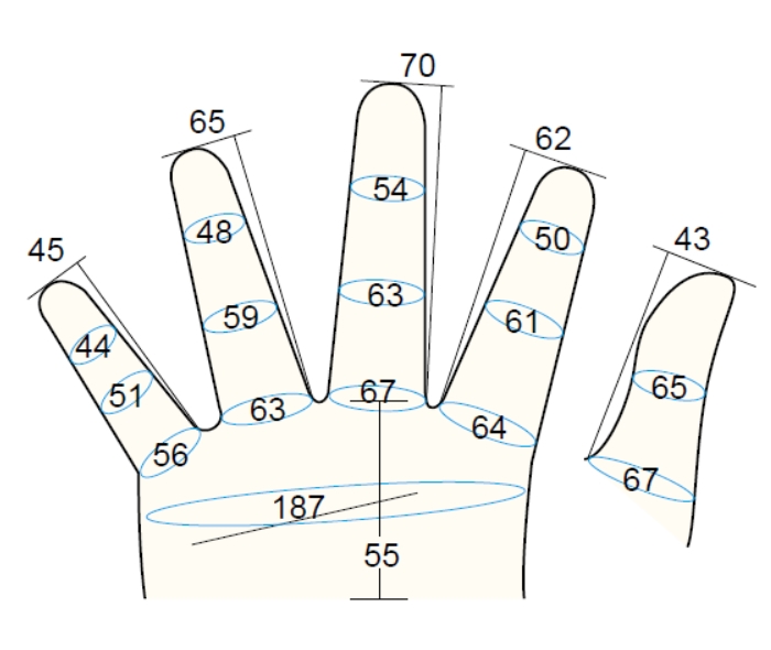 Model 200 Female LM2 Finger Mobile 2