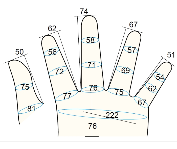 Model 200 Male L3 Finger Moible 1