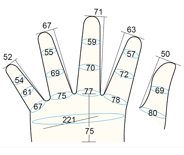 Model 200 Male L3 Finger Moible 2