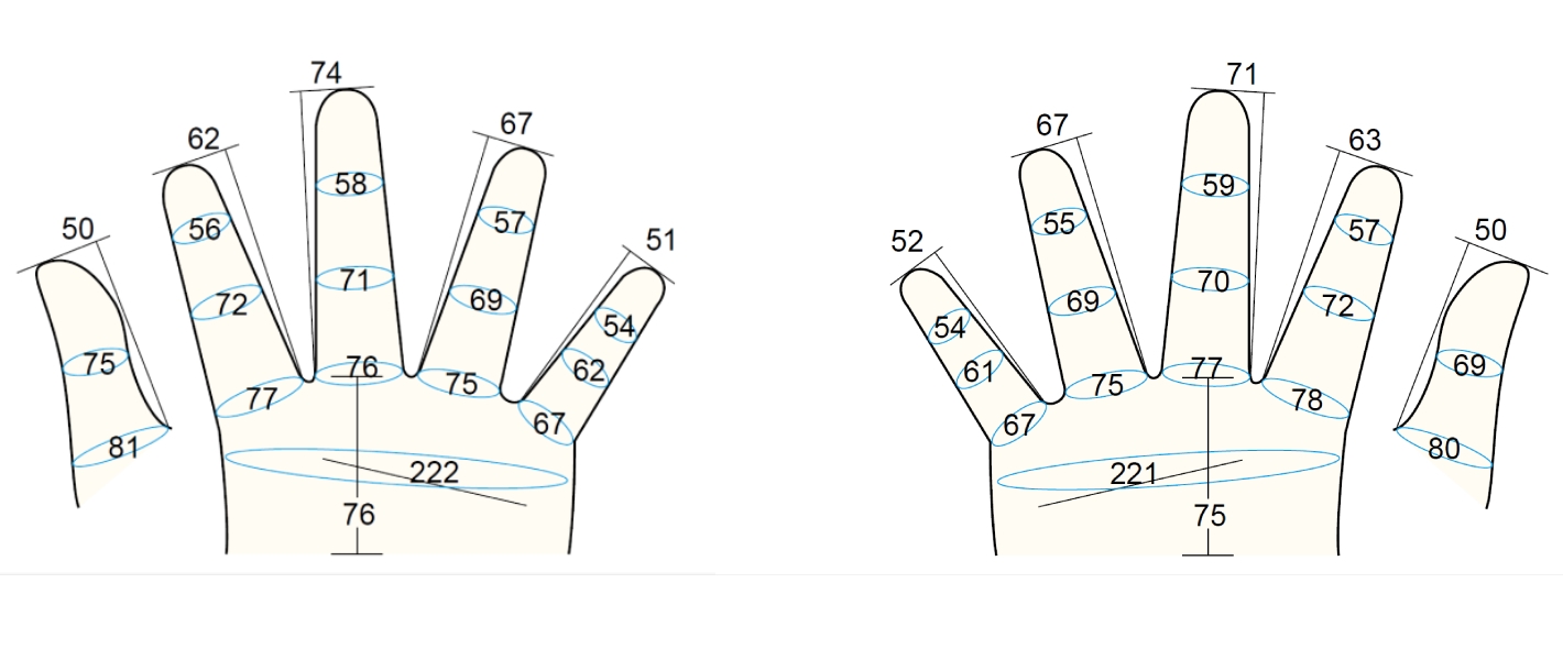 Model 200 Male L3 Finger PC